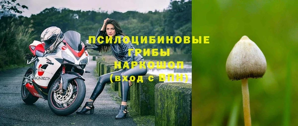 spice Козловка
