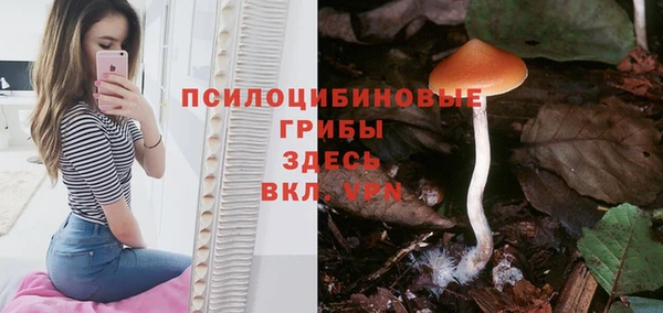 spice Козловка