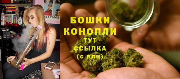 метадон Козельск